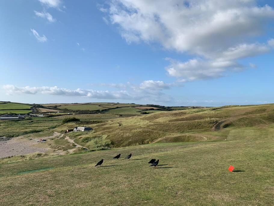 Chough Cottage Helston Buitenkant foto